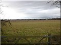 Fields to the West of Pimlico Lane