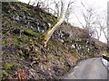 Icicles on the roadside, above Ivelet bridge