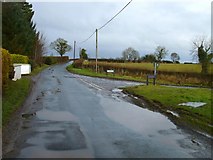 H4569 : Blackfort Road, Drumragh by Kenneth  Allen