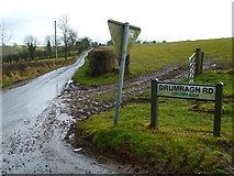 H4569 : Drumragh Road, Drumragh by Kenneth  Allen