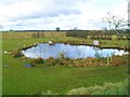 Pond at Balleny