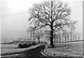 Frost and snow in mid-Cheshire