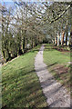 Path along The Green, Newnham