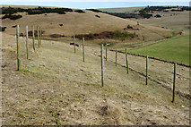 TQ3606 : Vegetation investigations, Castle Hill National Nature Reserve by Robin Webster