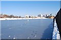 Frozen over model boating lake in Walpole Park (4)