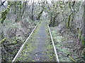 SM9031 : Broadwalk, Corsydd Llangloffan National Nature Reserve by Martyn Harries