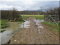 Gateway view to Lodge Farm