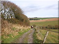 Track, to Noss Mayo