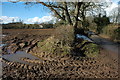 Lane and hedgerow, Bromesberrow