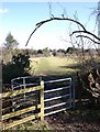 Kissing gate with built in archway