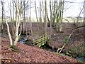 Footbridge in Harperley Dean