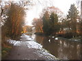 Canal in Winter