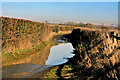 Flooded lane - Llancadle