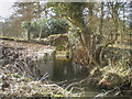 Bridleway bridge over the infant River Worfe near Tong