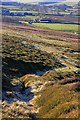 NZ6806 : Sunken Trackway, Castleton Rigg by Mick Garratt