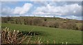 Valley and hillside north of Brockle Ford