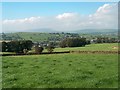 Green fields east of Trawden