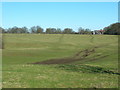 Farmland, Westwood