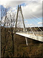 Chartist Bridge, Blackwood, from the east