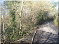 Footpath on Nellington Road