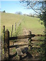 Stile and footpath near Nellington Wood