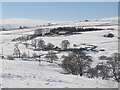 Snowy East Allen Dale at Sipton Shield