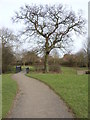 Footpath and bridle path through parkland