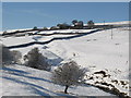 The snowy cleugh of Swinhope Burn below Elpha Green