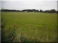 Farmland, Bogend