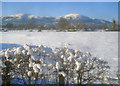 Snow-covered meadow at Sherrards Green Farm