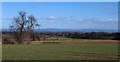 Farmland near Snape