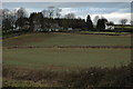 Houses at Westfield