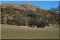 Grazing land by Bryncrug