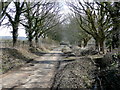 Road from Breamore Park