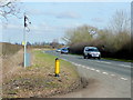 A338, looking north