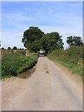 TM3696 : Transport Lane by Glen Denny