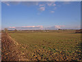 Farmland near Ward Farm