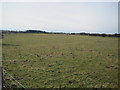 NY9360 : Field (once part of the Deer Park for Dotland Medieval Village) by Les Hull