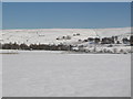 Snowy pastures near Low Huntwell