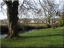 SX8178 : River Bovey, Bovey Tracey by Alan Hunt