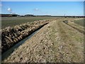 Farmland near Gate Burton (1)