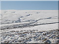 Snowy pastures in Middle Hope