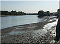 River Thames looking upstream