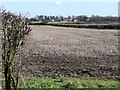 Farmland near Springthorpe (3)