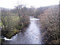 River Wear near Daddryshield