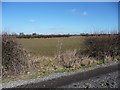 Farmland near Willingham by Stow (3)