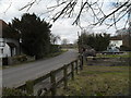 An equine observer just north of St James, Heyshott