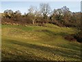 Barley Valley Local Nature Reserve