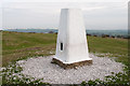 Trig Point