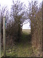 TM3468 : Segmore Lane footpath  to Mill Road by Geographer